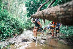 BIB: 
                            <button type="button" onclick="openModal(25374772)" class="btn btn-primary btn-sm float-right btn-popup" data-toggle="modal" data-target=".modal-high-quality">
                        <i class="fas fa-shopping-cart"></i> Add to Cart
                    </button>
                                            <button type="button" onclick="isThisMe(25374772, true)" class="btn btn-success btn-sm float-right btn-popup btn-isme hidden" data-toggle="tooltip" data-placement="bottom" title="นี่คือรูปของคุณใช่ไหม คลิกที่นี่เพื่อเอาเข้าอัลบั้ม">
                        <i class="fas fa-plus"></i> Add to album
                    </button>
                    <button type="button" onclick="isThisMe(25374772, false)" class="btn btn-warning btn-sm float-right btn-popup btn-isnotme hidden">
                        <i class="fas fa-ban"></i> Remove from album
                    </button>